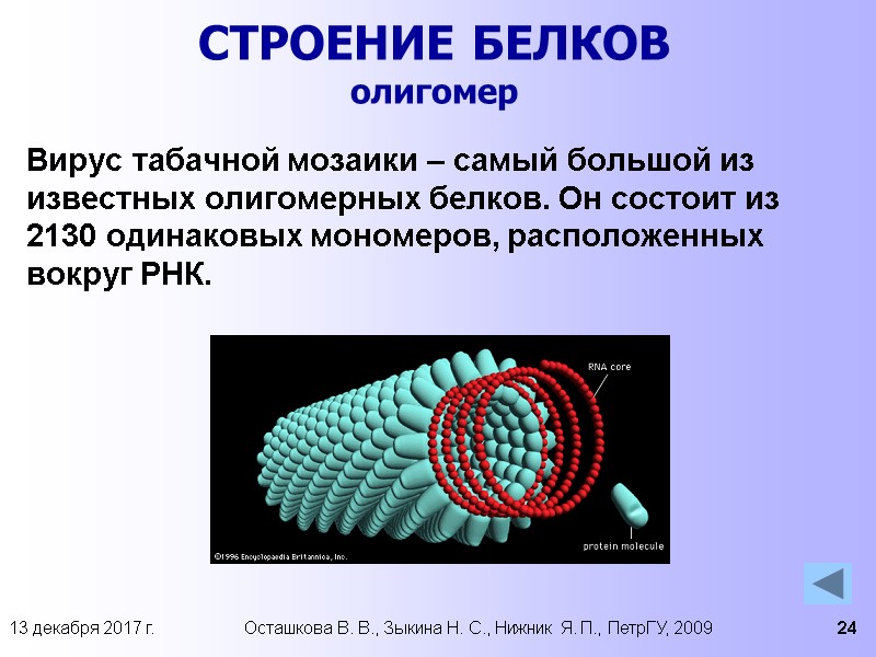 13 декабря 2017 г. Осташкова В. В., Зыкина Н. С., Нижник Я. П., ПетрГУ,